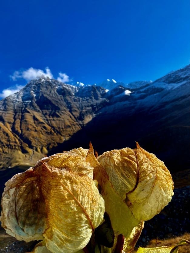 Family and kids friendly Himalayan trek